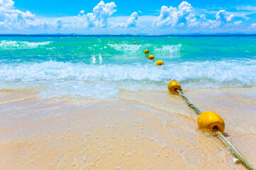 Wall Mural - buoys on the beach