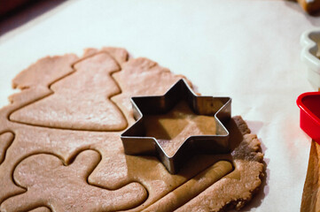 Christmas Gingerbread cookie with decoration