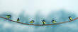 beautiful little tit birds sit on a branch in a winter fairy Park