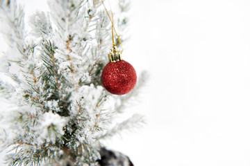 Wall Mural - Christmas tree decoration. Merry Christmas horizontal banner. Small tree isolated on white background.