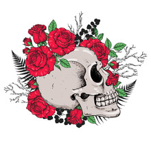 Skull And Roses Flowers Hand Drawn Illustration. Tattoo Vintage Print. Skull And Red Roses. T-shirt Design.