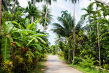 Fototapeta Las - Unpaved road along trees; Koh Pha Ngan; Thailand