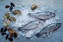 Fish, Oysters And Mussels On Ice View From Above