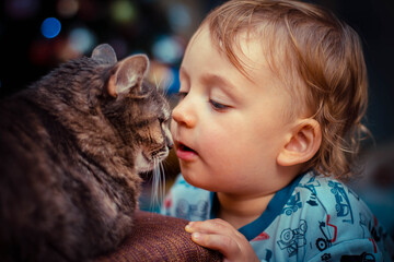 Wall Mural - cat and baby on the background of christmas tree and lights bokeh