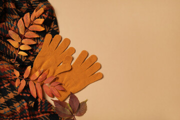 Poster - Stylish woolen gloves, scarf and dry leaves on beige background, flat lay. Space for text