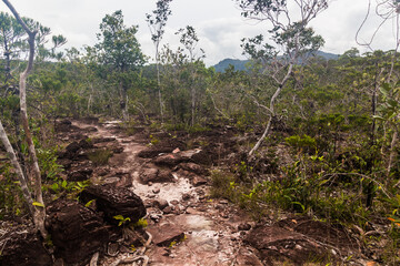 Landscape of Bako National Park, Sarawak, Malaysia