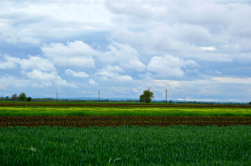 Wall Mural - rural landscape with agricultural fields and stormy clouds in the background