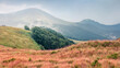 © Andrew Mayovskyy - Amazing summer scene of Krasna range after the rain. Bright morning view of foggy Carpathian mountains, Ukraine, Europe. Landscape photography. Beauty of nature concept background..