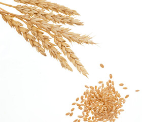 Poster - Wheat on white