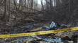 © Acronym - Detectives are collecting evidence in a crime scene. Forensic specialists are making expertise. Police investigation in a forest.