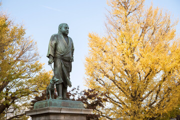 Wall Mural - Statue of Takamori Saigo and autumn yellow ginkgo trees at Ueno Park in Tokyo, Japan　秋の上野公園 西郷隆盛の銅像と黄葉したイチョウの木