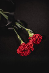 Wall Mural - two red carnation flowers with ribbon on black , funeral concept