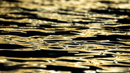 Wall Mural - Sunlight reflecting in rippled water