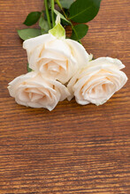 Close Up Of Three White Roses Lying On Wooden Background