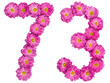 © kostiuchenko - Arabic numeral 73, seventy three, from flowers of chrysanthemum, isolated on white background