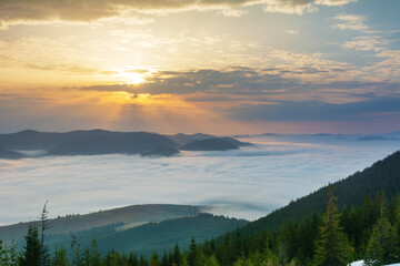 Wall Mural - Beautiful sunrise in the Carpathian mountains with fog and dramatic sky