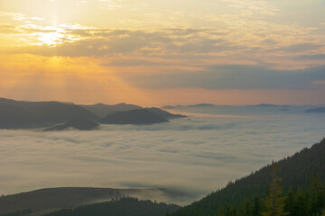 Wall Mural - beautiful sunrise in the carpathian mountains with fog and dramatic sky