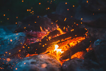 Vivid Smoldered Firewoods Burned In Fire Closeup. Atmospheric Background With Orange Flame Of Campfire. Wonderful Full Frame Image Of Bonfire With Glowing Embers In Air. Warm Logs, Bright Sparks Bokeh