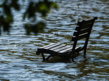 Bench In A Lake, A Water Overflow Covered A Park
