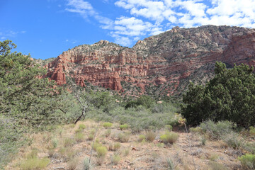 Wall Mural - View of red rock with desert landscape and blue sky with puffy white clouds at Sedona, Arizona