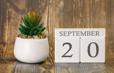 Flower pot and calendar for the cool season from 20 September. Autumn time.