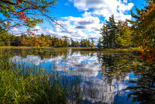 Blue Sky Reflections In The Protected Wetlands Of Ludington State Park In Michigan. 