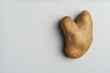 Funny, unnormal vegetable or food waste concept. Ugly potato in the heart shape on a gray background. Horizontal orientation