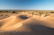 Avancée des dunes du désert marocain