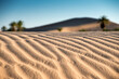 Jeux d'ombre sur les ondulations du sable dunaire