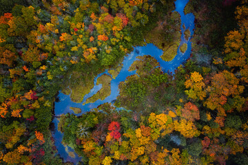 Wall Mural - incredible autumn travel look down aerial photograph of the meandering carp river as it twists, turn