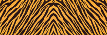 Background With A Pattern Of Tiger Stripes, Tiger Color. Tiger Skin Background Or Texture, Long Banner For Website.