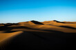Sand dunes in a vast desert at dawn