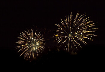 Wall Mural - beautiful firework isolated closeup on black background