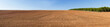 © Siur - Panoramic view of landscape with agricultural land, on a slope, recently plowed and prepared for cultivation, with a pine plantation in the background