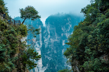  the mountain and forest in foggy at at Wulingyuan. Wulingyuan Scenic and Historic Interest Area which was designated a UNESCO World Heritage Site as well as an AAA scenic area in china.