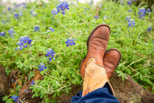 Napping In The Bluebonnets