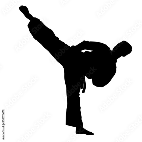 Εκτύπωση καμβά Silhouette of Silat Martial Arts