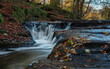 Golden Hole Waterfall in Holywell Dene in the county of Northumberland, England, UK. At the end of autumn.