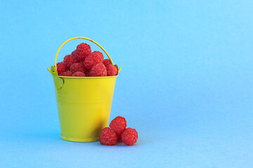 Wall Mural - Decorative bucket with ripe raspberries on a blue background