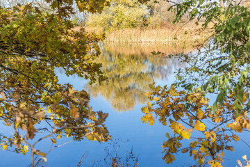 colorful nature at the lake