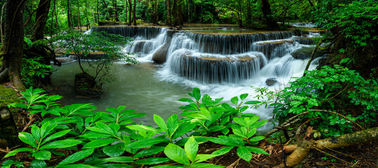 Aufkleber - Panoramic beautiful deep forest waterfall in Thailand.