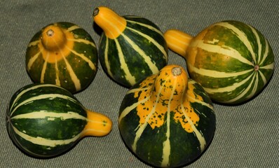 Wall Mural - pumpkin on the market