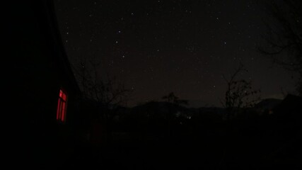 Wall Mural - Timelapse of stars over trees at summer night . Beautiful view of Milky way at night sky.