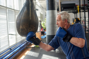 Wall Mural - Old man hitting a punching bag. Senior man in blue gloves practicing boxing on the punching bag.