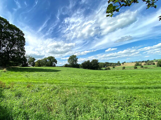 View across lush green meadowland, with trees, and hills in the distance in, Bracewell, Barnoldswick, UK