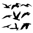 © desertsands - Silhouette set of flying seagulls birds on white background. Inspirational body flash tattoo ink of sea birds. Vector.