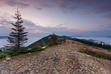 Wall Mural - Beautiful sunrise in the Carpathian mountains with fog and dramatic sky