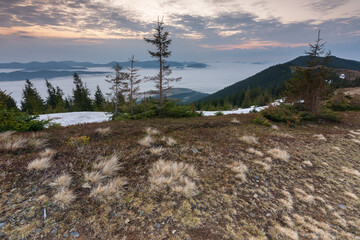 Wall Mural - Beautiful sunrise in the Carpathian mountains with fog and dramatic sky