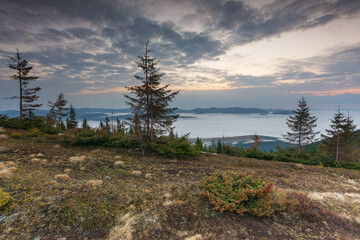 Wall Mural - Beautiful sunrise in the Carpathian mountains with fog and dramatic sky