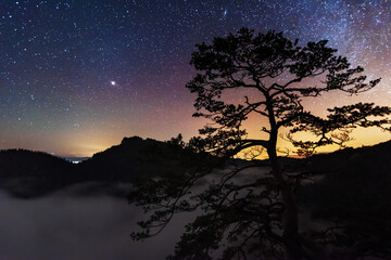 Wall Mural - A beautiful starry night in the mountains on top with beautiful scenery and fog.	